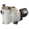 Pompe de filtration Ondina