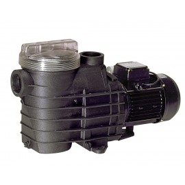 Pompe Filtration Delfino AEP