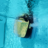 Robot piscine électrique Dolphin E30 – Nettoyage fond, parois et ligne d’eau – Filtration double niveau