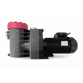 Pompe piscine Procopi Eurostar II 200M 1,3 CV Monophasé 18m3/h - RECONDITIONNÉE