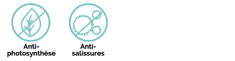 Capture d’écran 2025-10-10 à 14.08.24