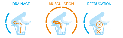 velo ino air musculation